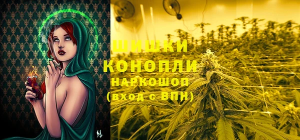 шишки Богданович
