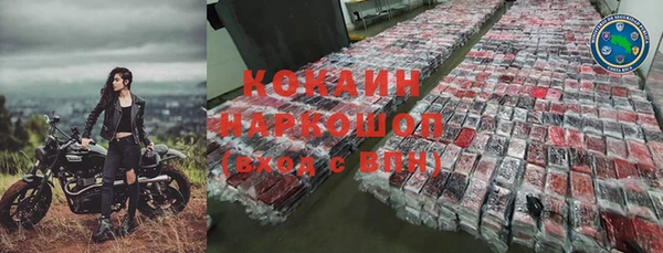 шишки Богданович