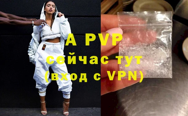 шишки Богданович