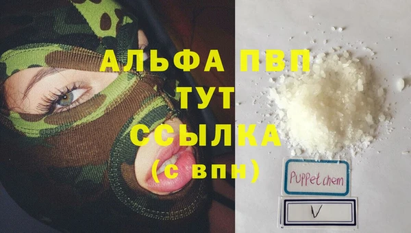 гашик Белокуриха