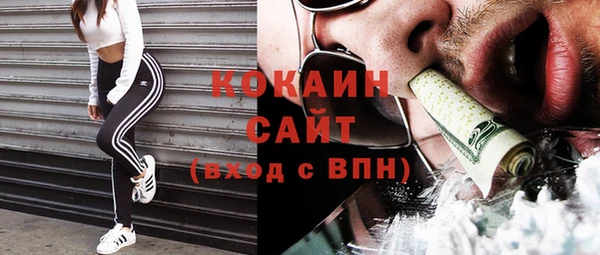 гашик Белокуриха