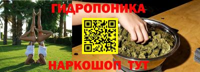 мяу мяу мука Кингисепп