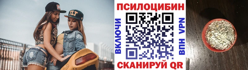 Галлюциногенные грибы мицелий  Наро-Фоминск 
