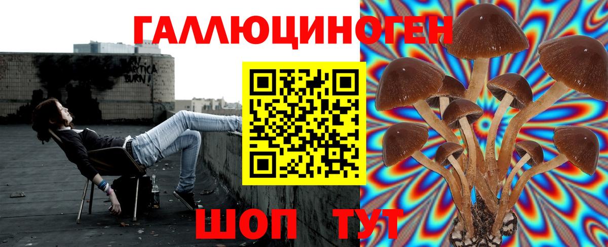 Псилоцибиновые грибы прущие грибы Наро-Фоминск