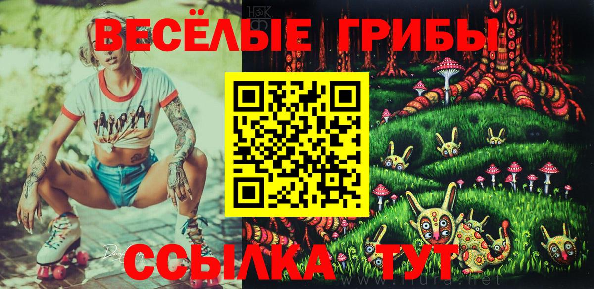 Галлюциногенные грибы ЛСД  продажа наркотиков  Наро-Фоминск  Вход с VPN 